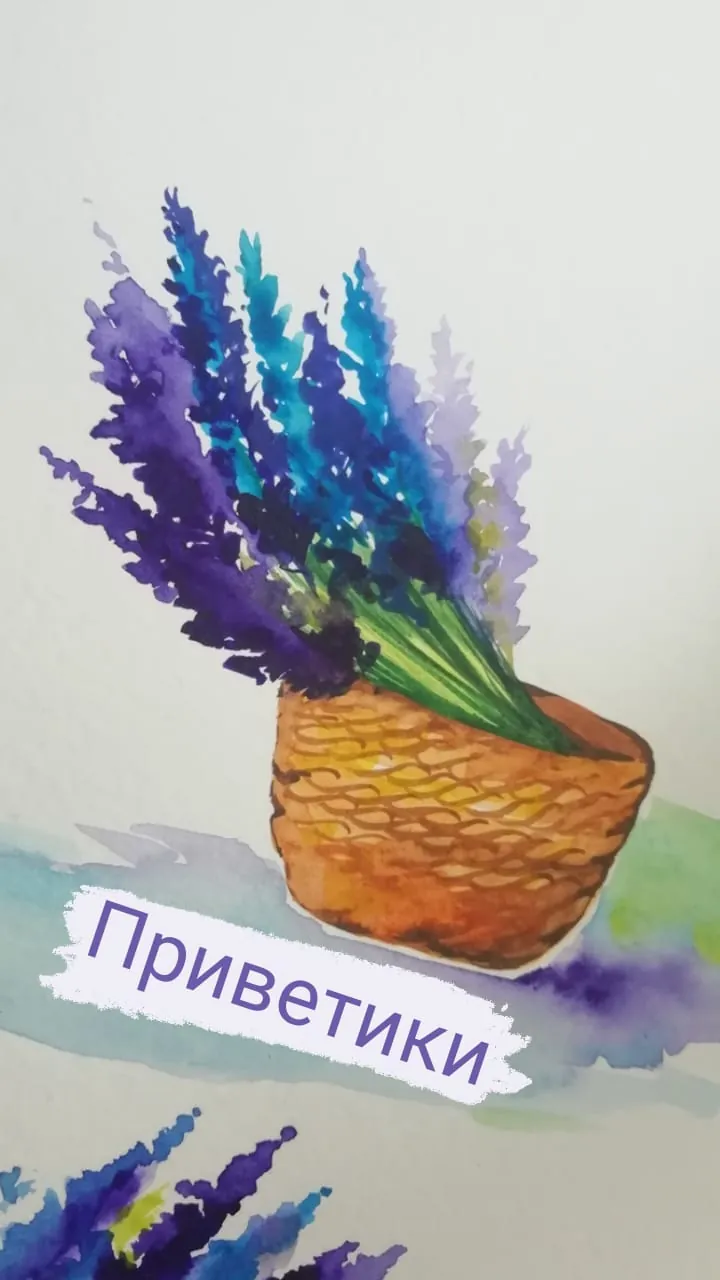 Прованс и велосипед: скетч