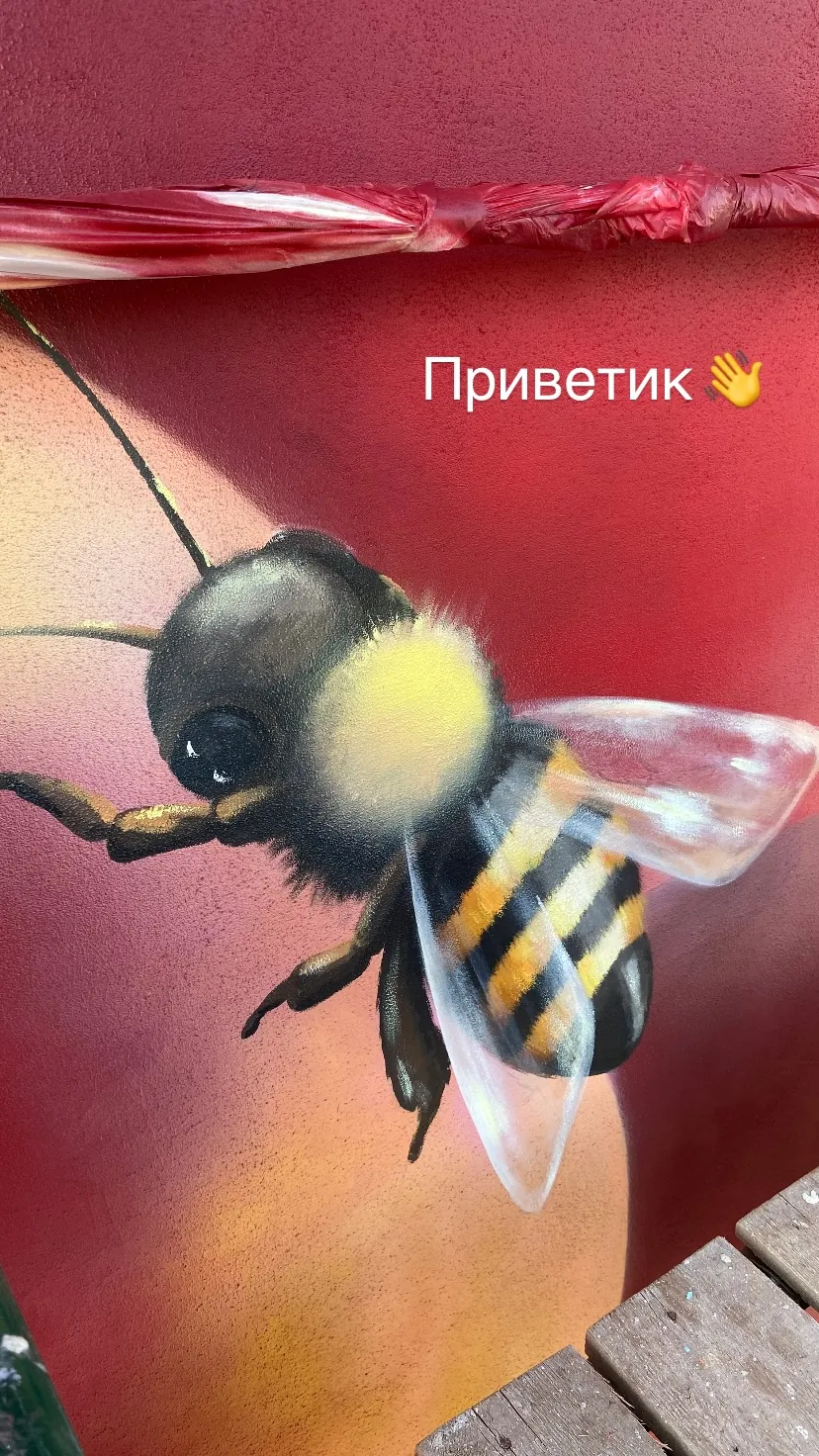 Шмель на стене