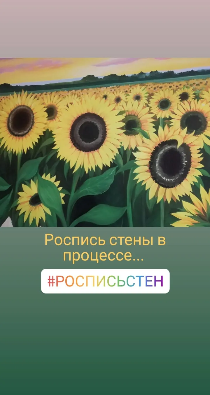 Подсолнухи у забора